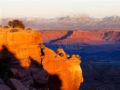 九游手游下载-见渔人乃大惊乃是啥意思