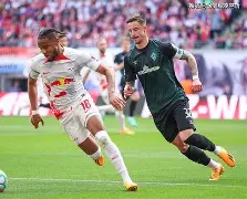 九游游戏攻略-德甲沙尔克04对莱比锡