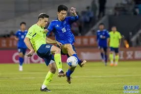 国际比赛日足总杯焦点战，山东泰山止住颓势，质疑声仍在，团队化学反应显著(729奔腾2省套和省狂哪个好用)