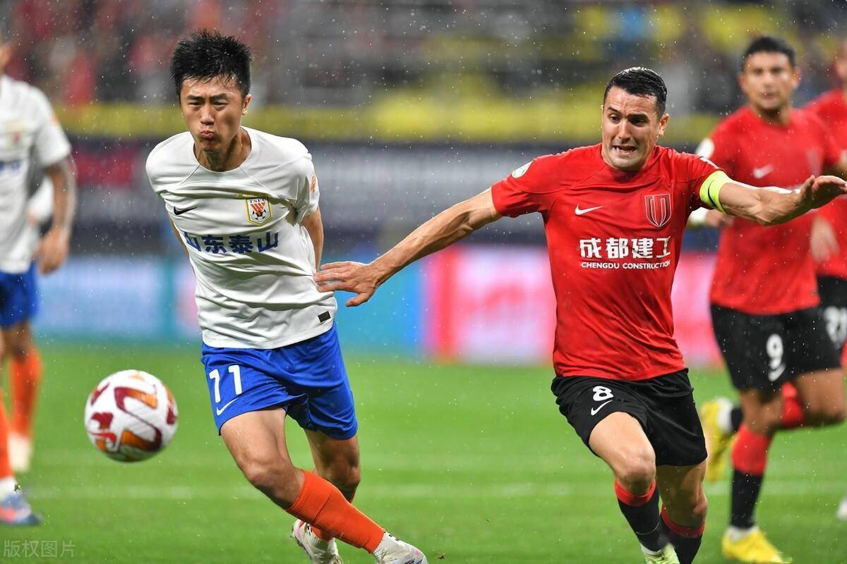 阿贾克斯足球主力阵容排行