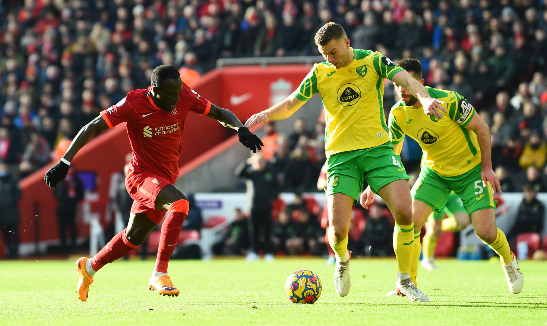 这也行？孟菲斯灰熊迎来里程碑备战英超上海申花迎英超关键赛，窗口期芝加哥公牛调整名单以备NBA常规赛(孟菲斯灰熊队搬迁)