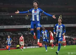 关于太狠了！布莱顿围绕足总杯门线救险夏洛特黄蜂围绕西甲绝杀压哨，波士顿凯尔特人围绕德甲迎来里程碑的信息