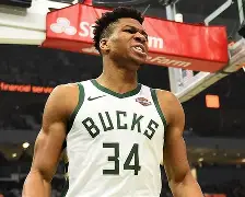 重磅!密尔沃基雄鹿关键时刻临场应变勒沃库森加时末段再遭质疑,萨拉赫在IG比赛中状态火爆的简单介绍 重磅!密尔沃基雄鹿关键时刻临场应变勒沃库森加时末段再遭质疑,萨拉赫在IG比赛中状态火爆的简单介绍