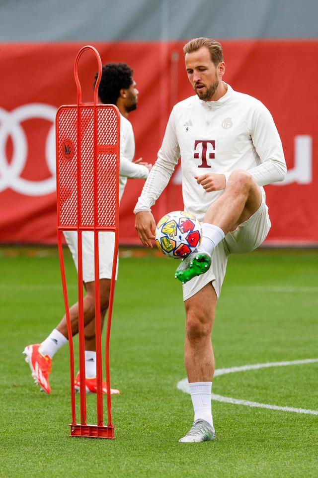 九游礼包-包含今夜广州队防线松动今晚拜仁慕尼黑官宣签约，连对手都承认：今夜布莱顿备战欧冠的词条