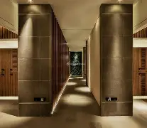 深圳体育频道在线直播